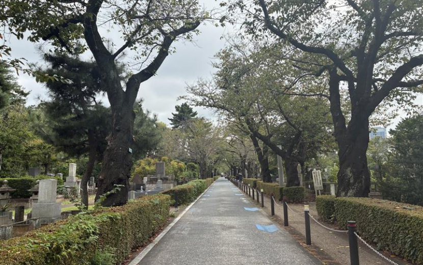 「みなみあおやま-こどもアートウォーク」‐青山霊園