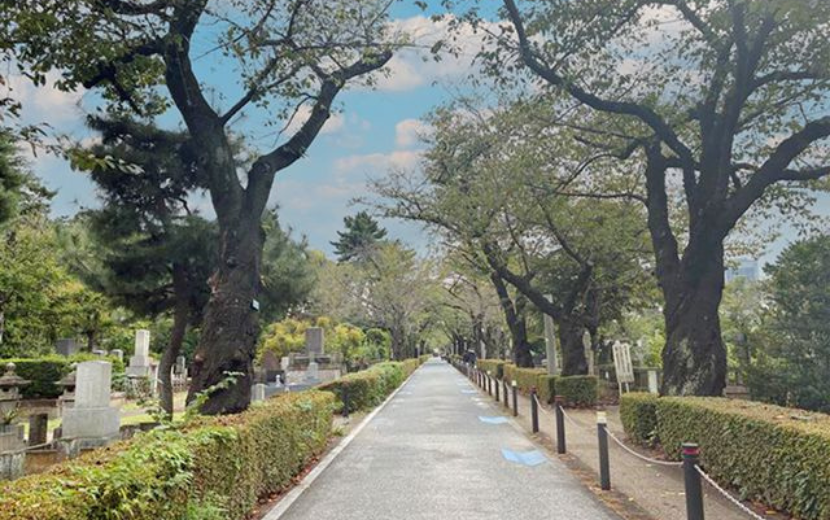「みなみあおやまこどもアートウォーク」青山霊園写真青空