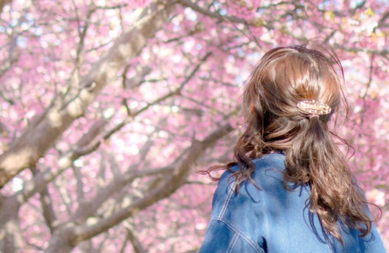 桜-花見-女性