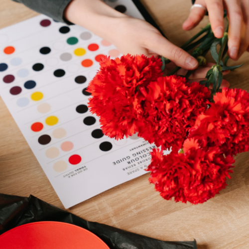 カーネーション・花・赤い花