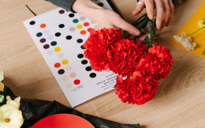 カーネーション・花・赤い花